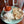 Shor Bazaar Indian Kitchen & Bar