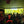 The Jungle Parnell