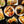 The Black Dog Kitchen & Bar