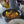 Pasta Cooking Masterclass