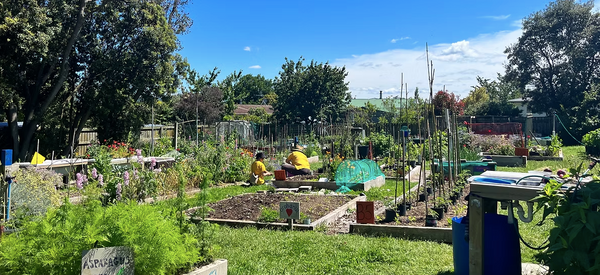 Taupo Community Gardens Workshop