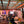 The Paw Bar & Eatery
